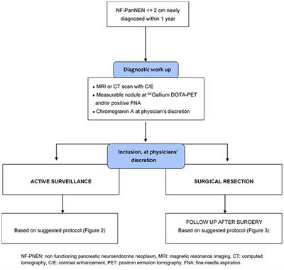Frontiers | Management of Asymptomatic Sporadic Nonfunctioning